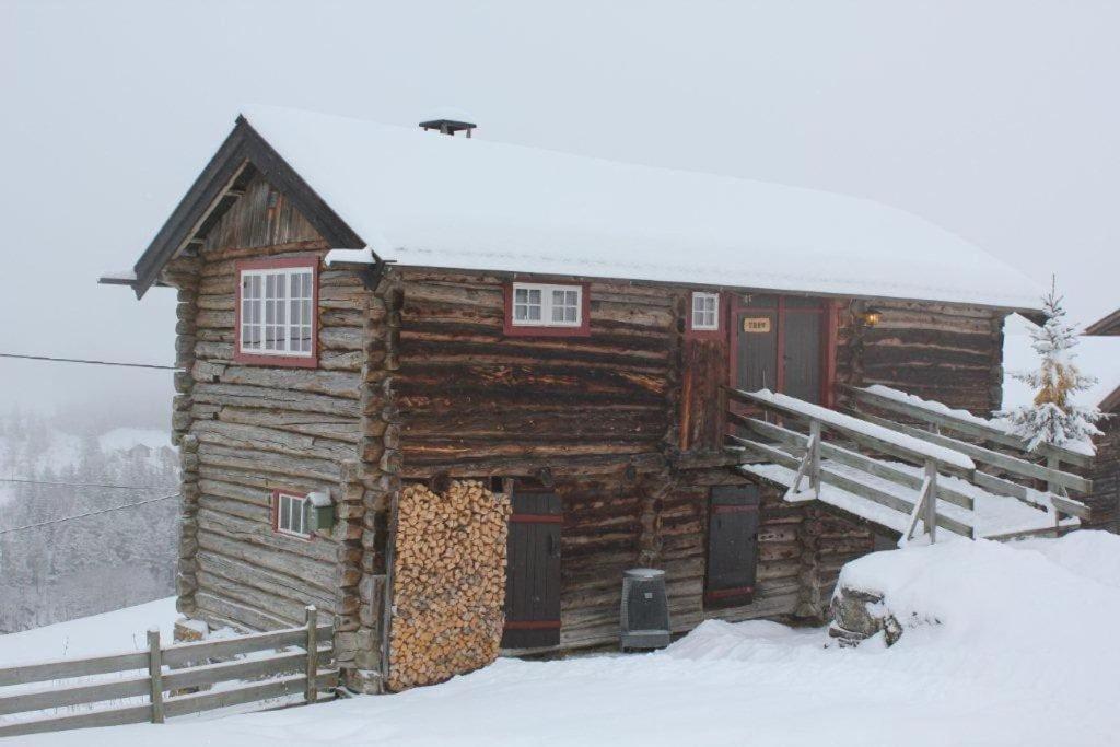 Trevet By Norgesbooking - Cabin Close To Skicenter Villa Holo Exterior photo